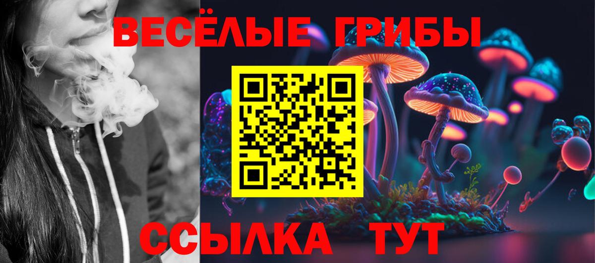 Галлюциногенные грибы ЛСД  Вход с VPN  цена наркотик  Шелехов 